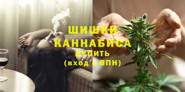 трава Каменногорск