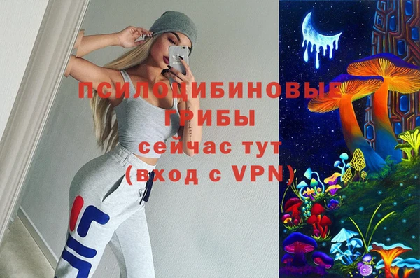 таблы Каменка
