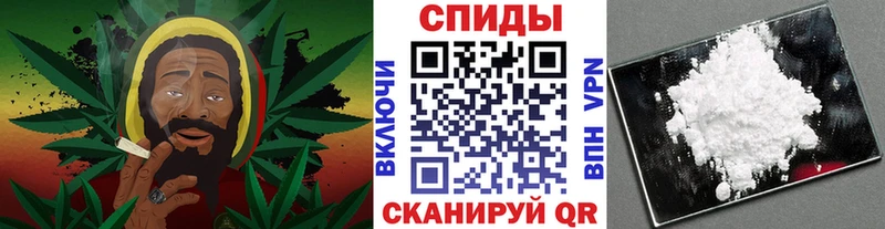 Купить закладки  Новая Ладога  Метамфетамин Декстрометамфетамин 99.9% 